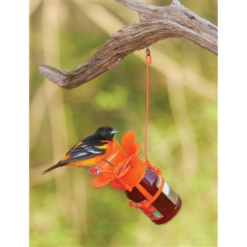 Oriole jelly deals feeder